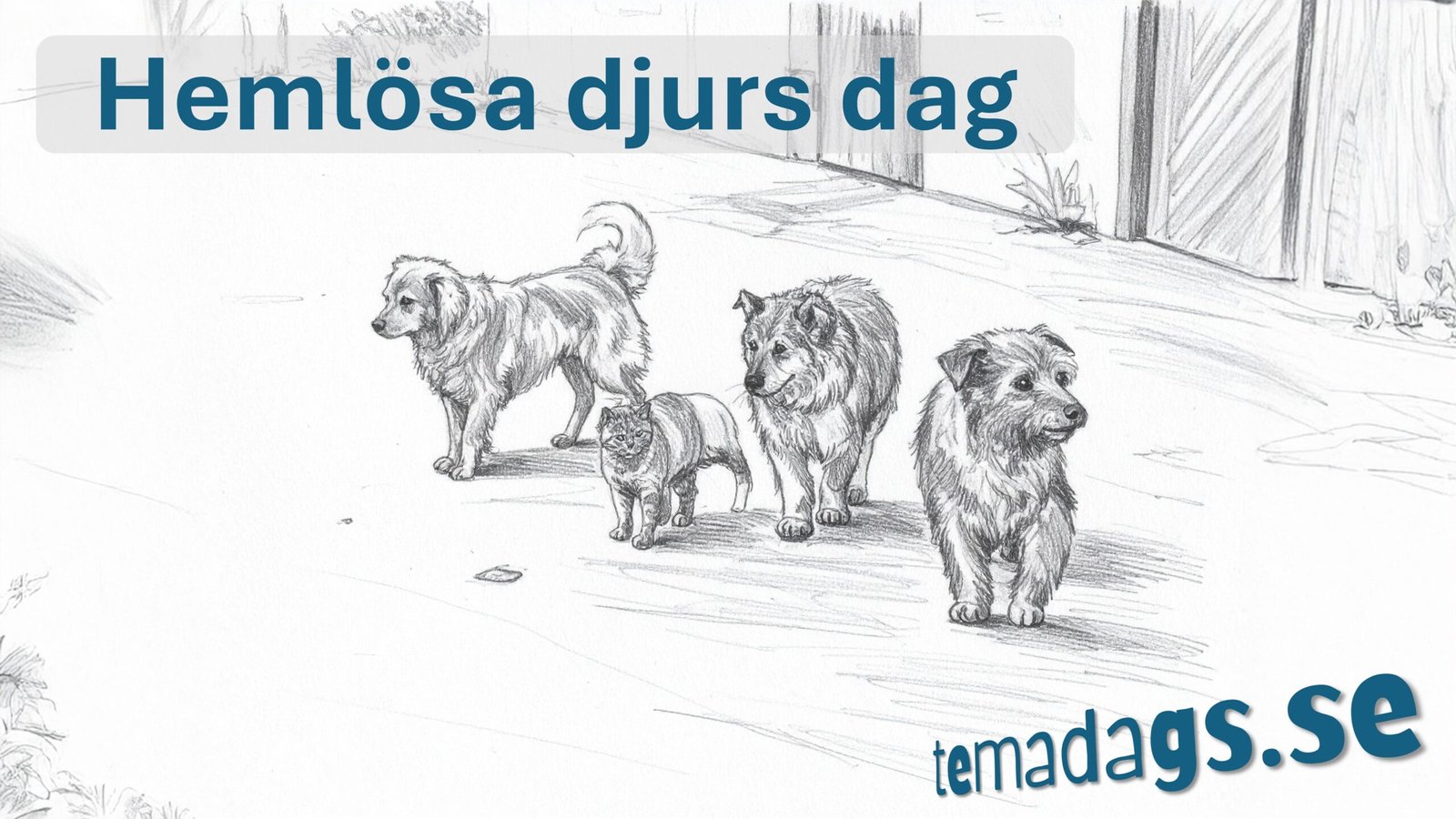 Hemlösa djurs dag