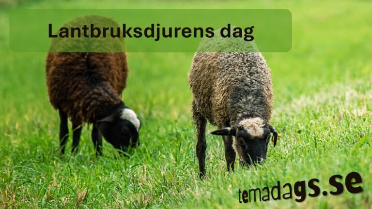 Lantbruksdjurens dag 10 Lantbruksdjurens dag