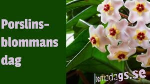 Porslinsblommans dag