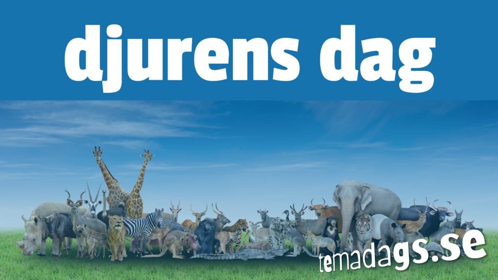 djurens dag