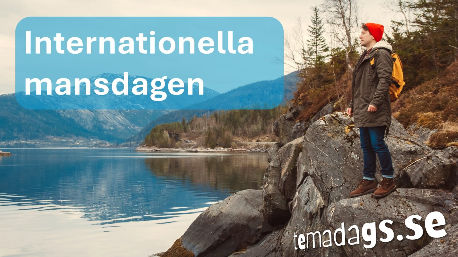 Internationella mansdagen