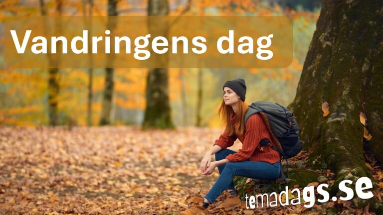 Vandringens dag 11 Vandringens dag