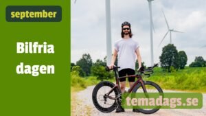 internationella bilfria dagen